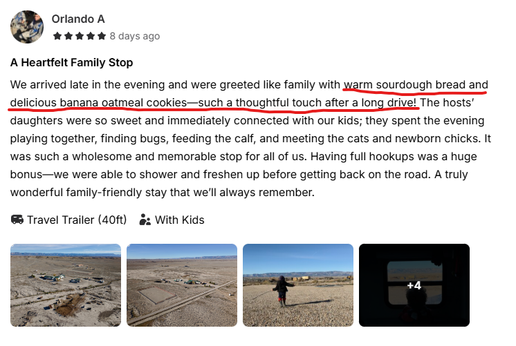 Warm sourdough thoughtful touch